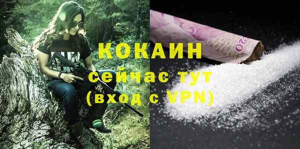 ешки Михайлов