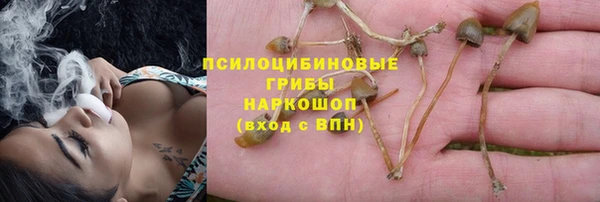 дурь Алзамай