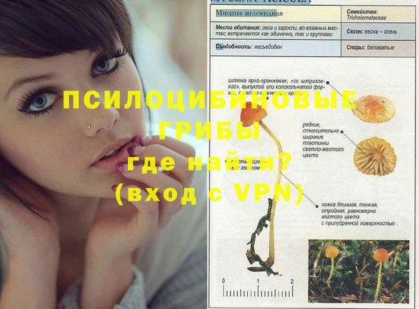 PSILOCYBIN Алексин