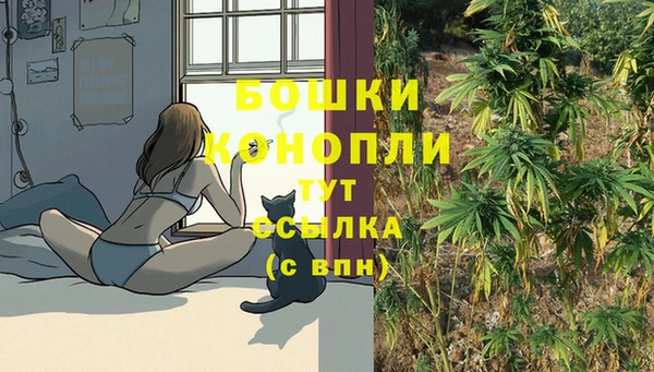 PSILOCYBIN Алексин