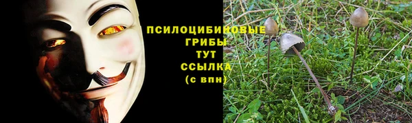 дурь Алзамай