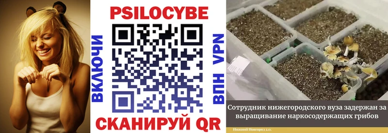Псилоцибиновые грибы мицелий площадка официальный сайт Харовск